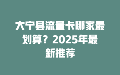 大宁县流量卡哪家最划算？2025年最新推荐