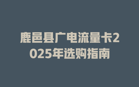 鹿邑县广电流量卡2025年选购指南