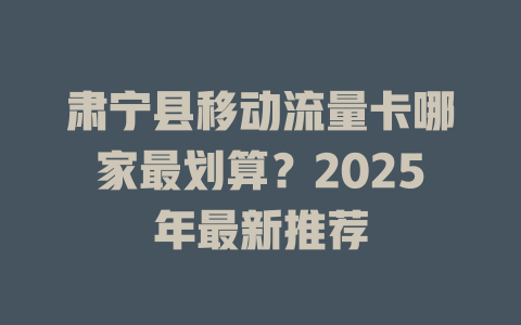 肃宁县移动流量卡哪家最划算？2025年最新推荐