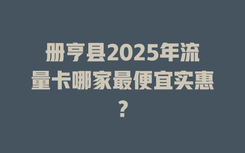 册亨县2025年流量卡哪家最便宜实惠？