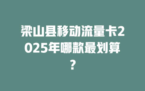 梁山县移动流量卡2025年哪款最划算？