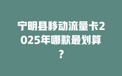 宁明县移动流量卡2025年哪款最划算？