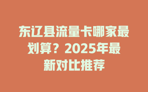 东辽县流量卡哪家最划算？2025年最新对比推荐