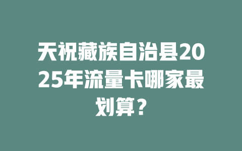 天祝藏族自治县2025年流量卡哪家最划算？