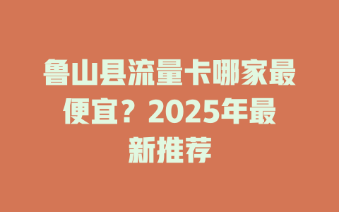 鲁山县流量卡哪家最便宜？2025年最新推荐