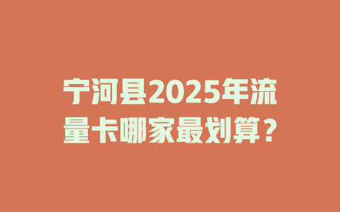 宁河县2025年流量卡哪家最划算？