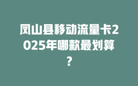 凤山县移动流量卡2025年哪款最划算？