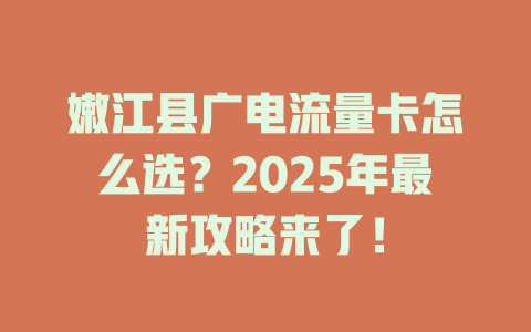 嫩江县广电流量卡怎么选？2025年最新攻略来了！