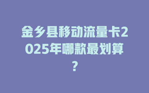 金乡县移动流量卡2025年哪款最划算？