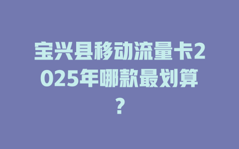 宝兴县移动流量卡2025年哪款最划算？