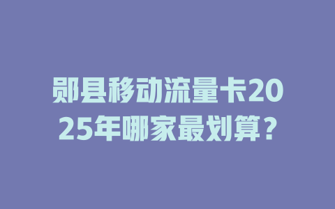 郧县移动流量卡2025年哪家最划算？