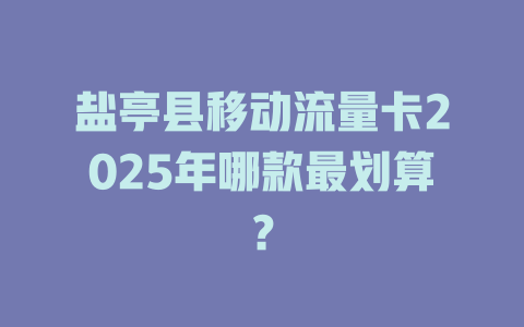 盐亭县移动流量卡2025年哪款最划算？