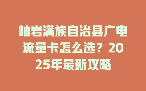 岫岩满族自治县广电流量卡怎么选？2025年最新攻略