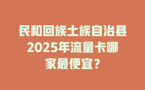 民和回族土族自治县2025年流量卡哪家最便宜？
