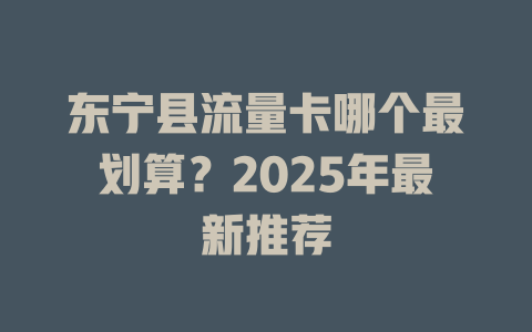 东宁县流量卡哪个最划算？2025年最新推荐