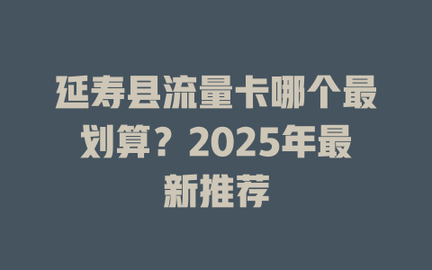 延寿县流量卡哪个最划算？2025年最新推荐