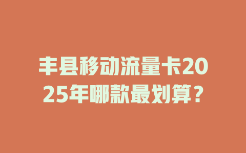 丰县移动流量卡2025年哪款最划算？