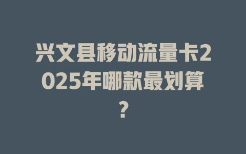 兴文县移动流量卡2025年哪款最划算？