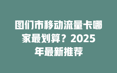 图们市移动流量卡哪家最划算？2025年最新推荐