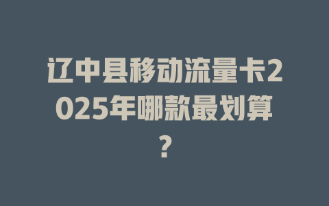 辽中县移动流量卡2025年哪款最划算？