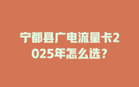 宁都县广电流量卡2025年怎么选？