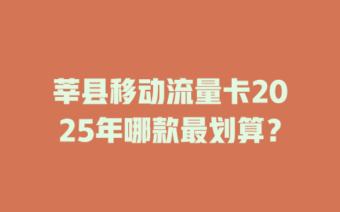 莘县移动流量卡2025年哪款最划算？