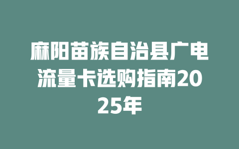 麻阳苗族自治县广电流量卡选购指南2025年