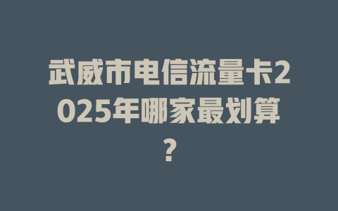 武威市电信流量卡2025年哪家最划算？