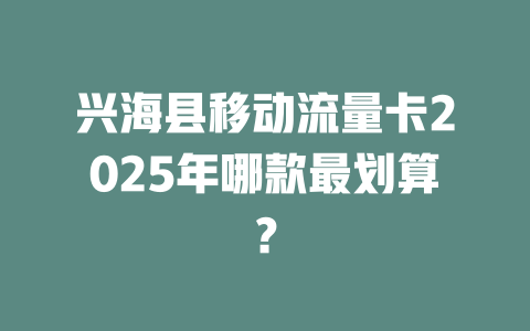兴海县移动流量卡2025年哪款最划算？