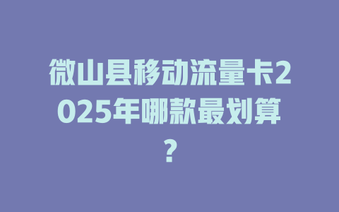 微山县移动流量卡2025年哪款最划算？