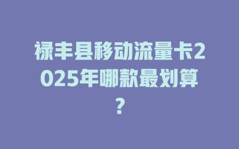 禄丰县移动流量卡2025年哪款最划算？
