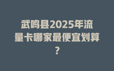 武鸣县2025年流量卡哪家最便宜划算？