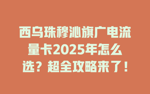 西乌珠穆沁旗广电流量卡2025年怎么选？超全攻略来了！