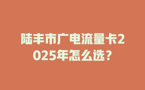 陆丰市广电流量卡2025年怎么选？
