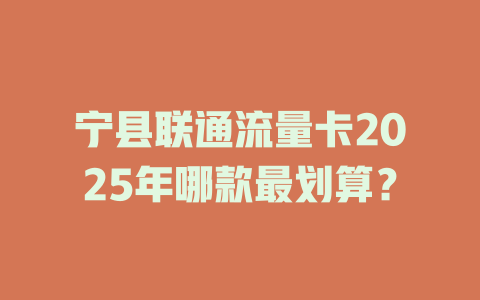 宁县联通流量卡2025年哪款最划算？