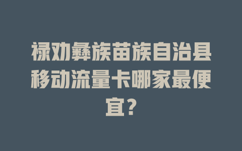 禄劝彝族苗族自治县移动流量卡哪家最便宜？