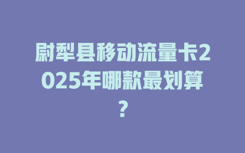 尉犁县移动流量卡2025年哪款最划算？