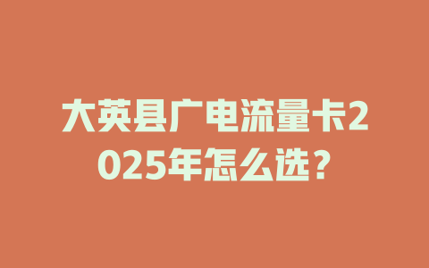 大英县广电流量卡2025年怎么选？