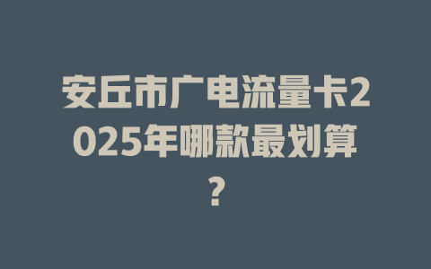 安丘市广电流量卡2025年哪款最划算？