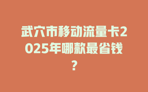 武穴市移动流量卡2025年哪款最省钱？