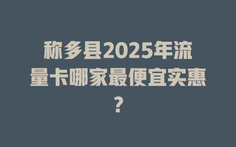 称多县2025年流量卡哪家最便宜实惠？