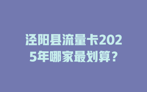 泾阳县流量卡2025年哪家最划算？