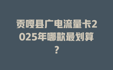 贡嘎县广电流量卡2025年哪款最划算？