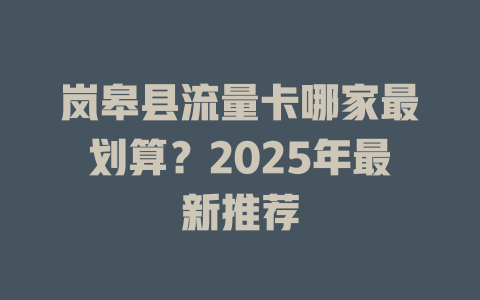 岚皋县流量卡哪家最划算？2025年最新推荐