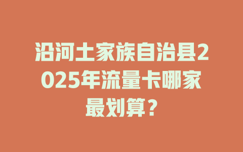 沿河土家族自治县2025年流量卡哪家最划算？