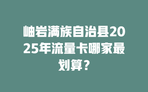 岫岩满族自治县2025年流量卡哪家最划算？