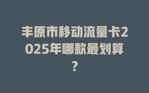 丰原市移动流量卡2025年哪款最划算？
