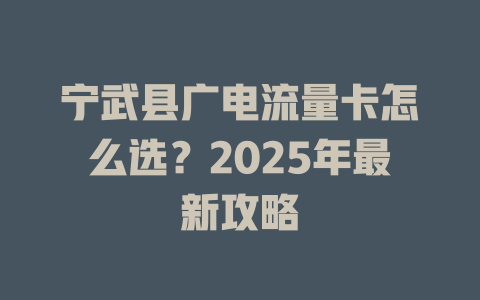 宁武县广电流量卡怎么选？2025年最新攻略