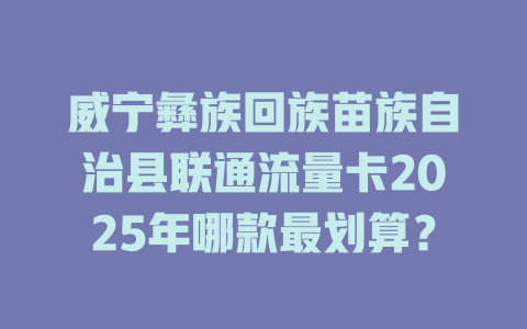 威宁彝族回族苗族自治县联通流量卡2025年哪款最划算？