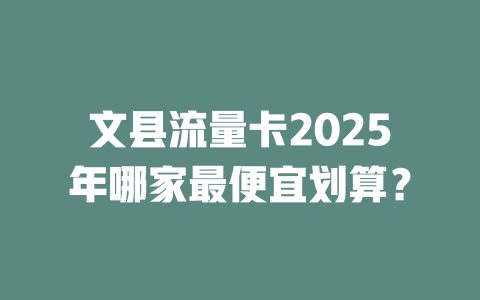 文县流量卡2025年哪家最便宜划算？